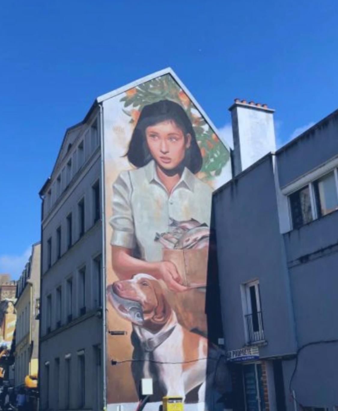 Jungle Appartement Lumineux Plein Centre Boulogne-sur-Mer Kültér fotó