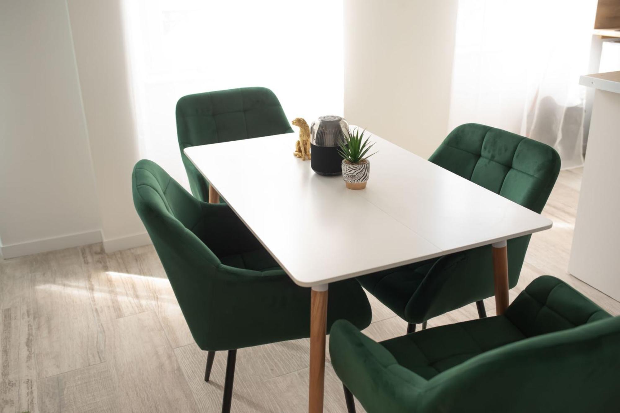 Jungle Appartement Lumineux Plein Centre Boulogne-sur-Mer Kültér fotó