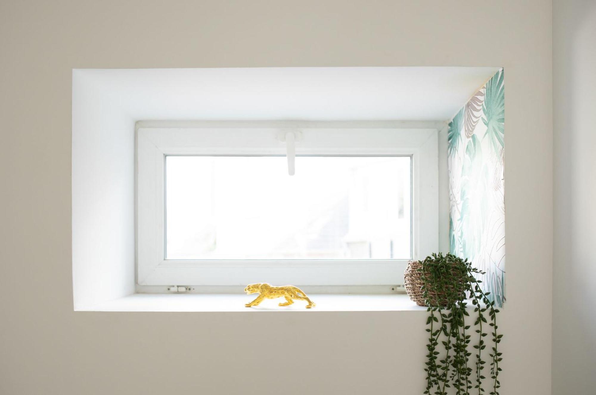 Jungle Appartement Lumineux Plein Centre Boulogne-sur-Mer Kültér fotó