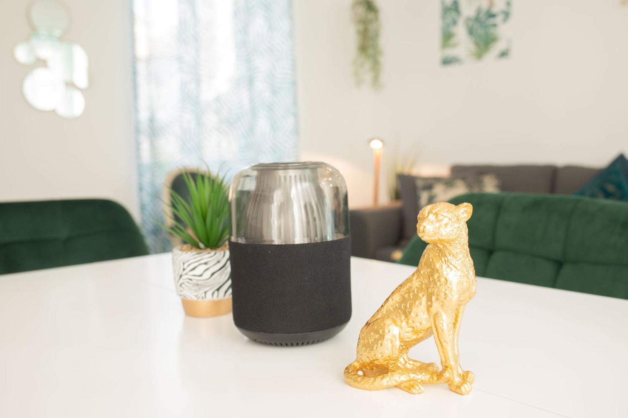 Jungle Appartement Lumineux Plein Centre Boulogne-sur-Mer Kültér fotó