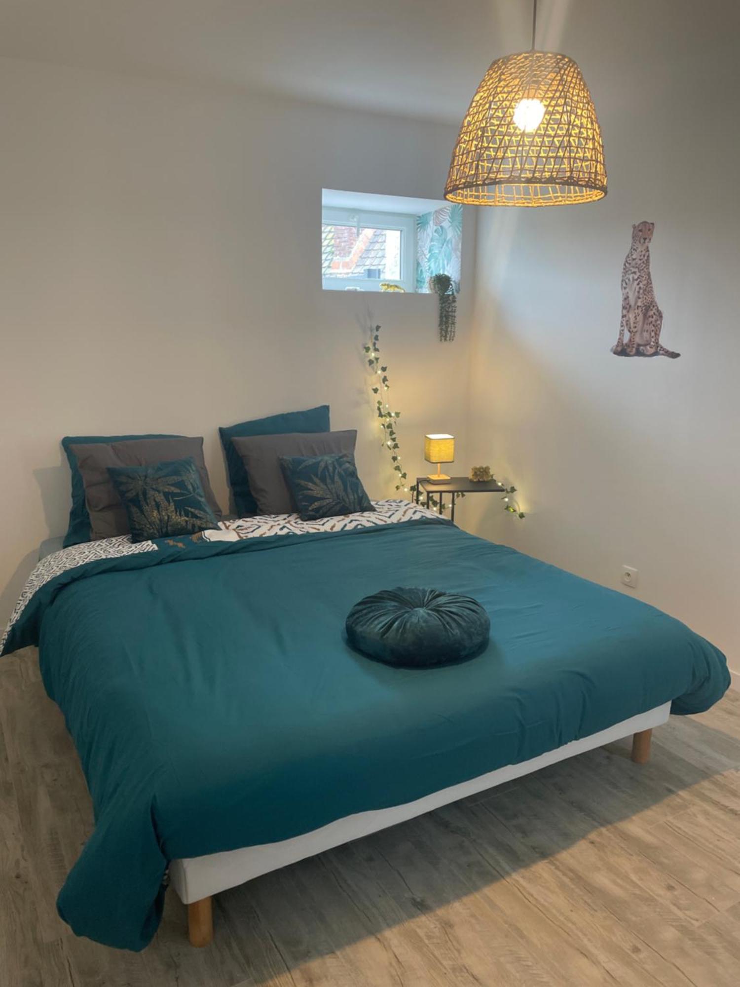 Jungle Appartement Lumineux Plein Centre Boulogne-sur-Mer Kültér fotó