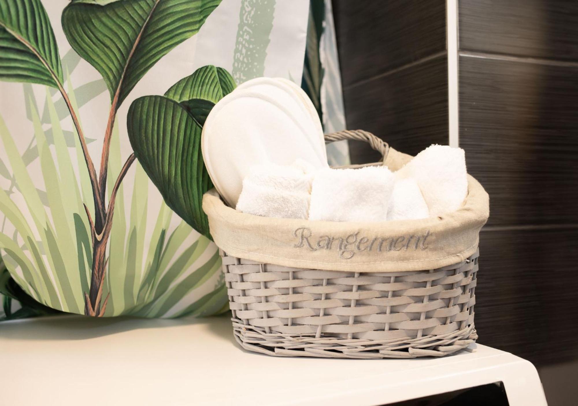 Jungle Appartement Lumineux Plein Centre Boulogne-sur-Mer Kültér fotó