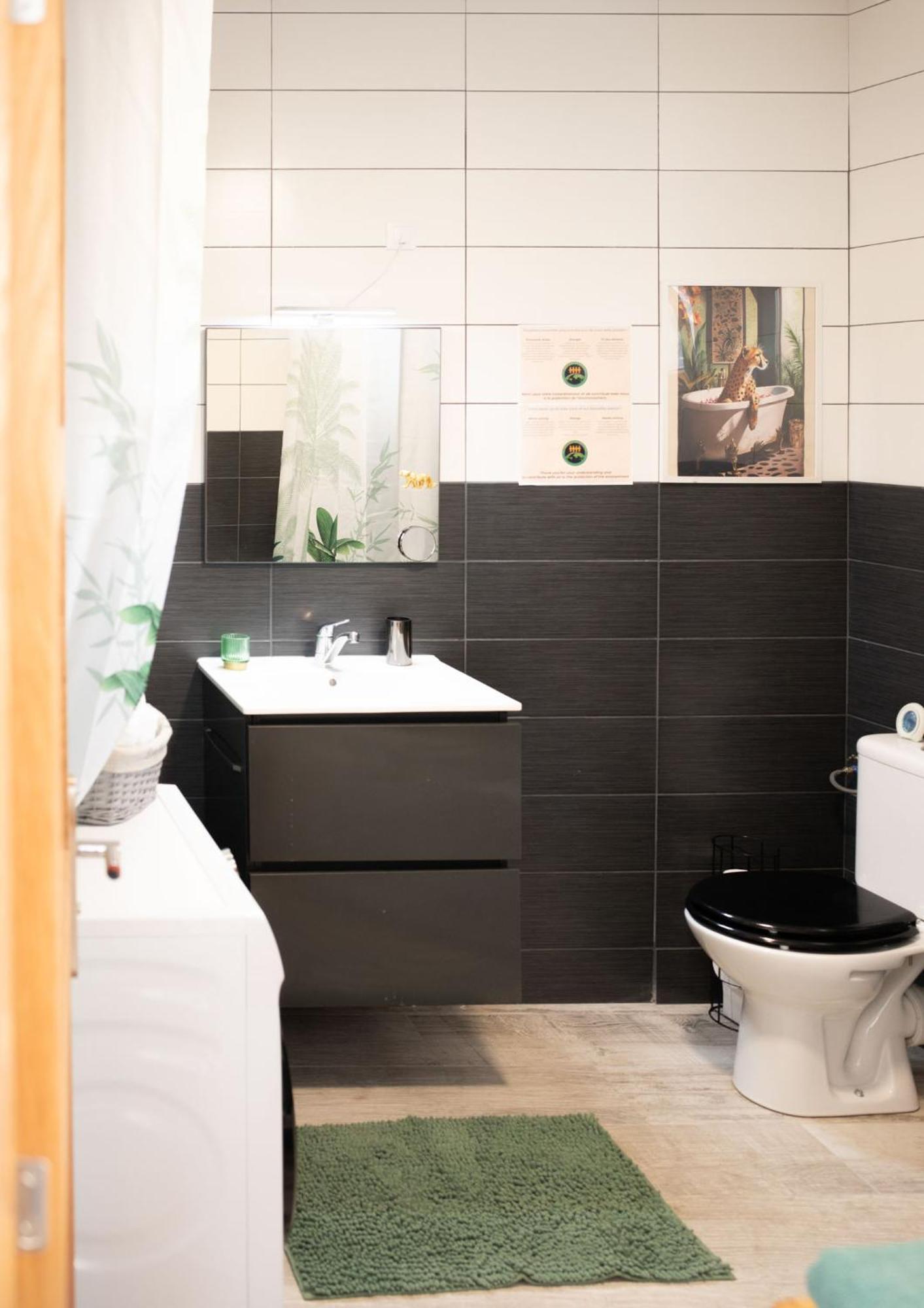 Jungle Appartement Lumineux Plein Centre Boulogne-sur-Mer Kültér fotó