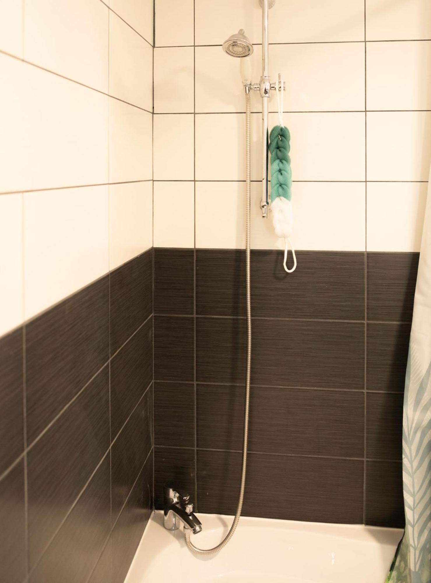 Jungle Appartement Lumineux Plein Centre Boulogne-sur-Mer Kültér fotó