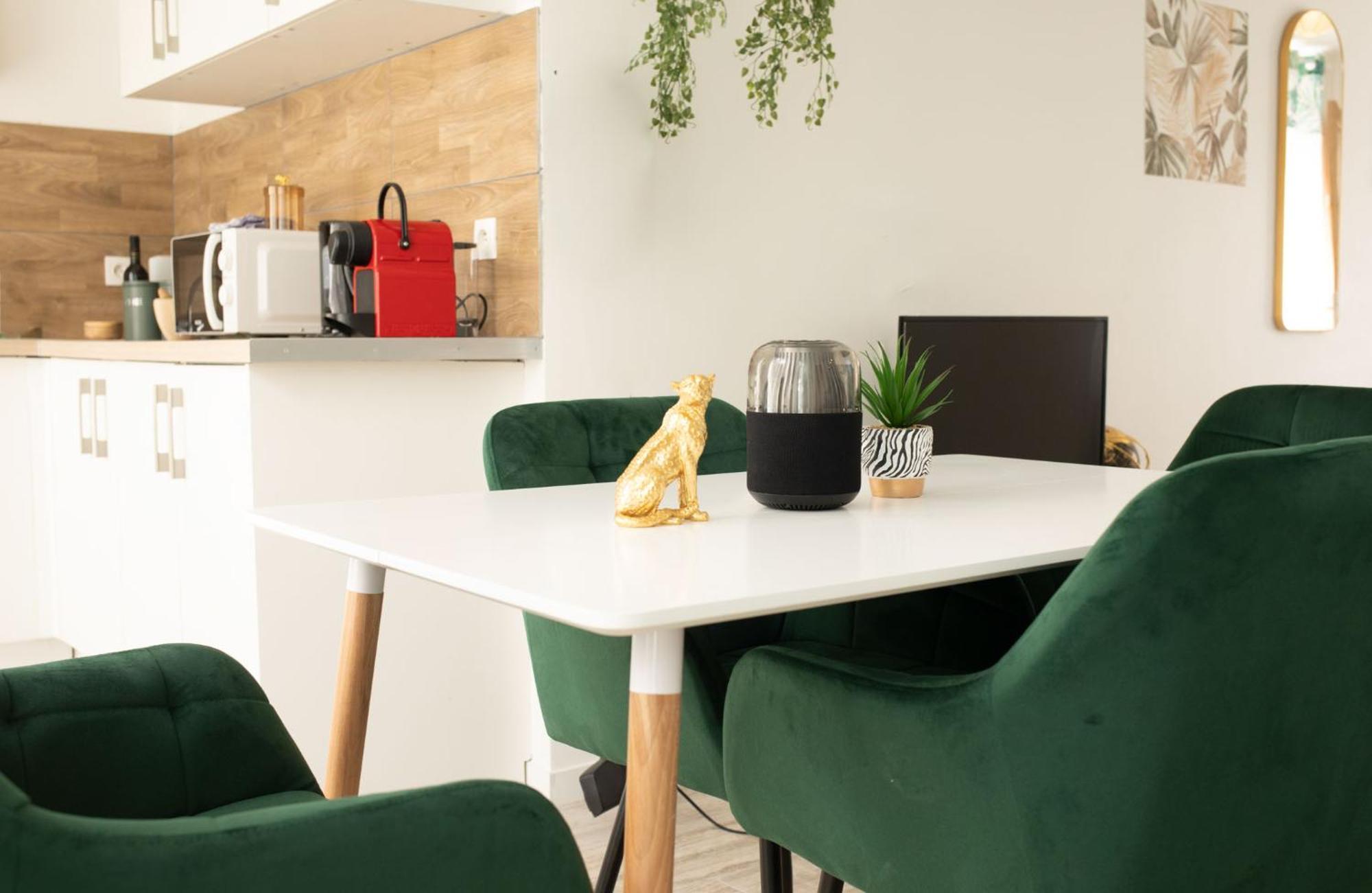 Jungle Appartement Lumineux Plein Centre Boulogne-sur-Mer Kültér fotó