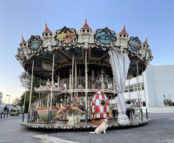 Jungle Appartement Lumineux Plein Centre Boulogne-sur-Mer Kültér fotó